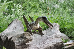 Cearadactylus - Prehistoric Reptile